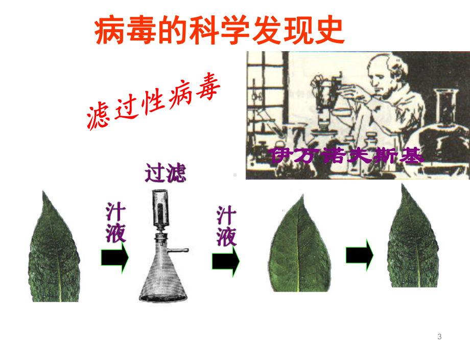 病毒-课件2021-2022学年人教版初中生物八年级上册-4.pptx_第3页