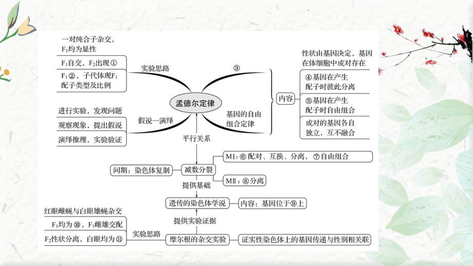 生物浙科版(2019)必修第二册课件：阶段提升课-第二章.ppt_第2页