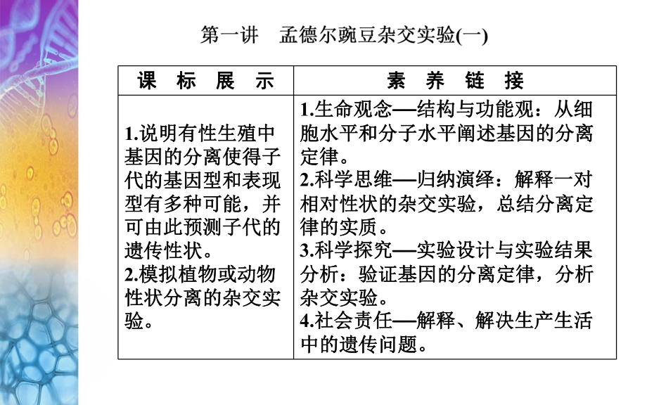 生物高考总复习(选择性考试)-孟德尔豌豆杂交实验(一)课件.ppt_第2页