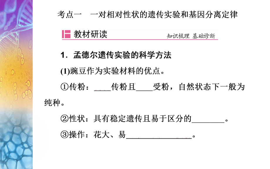 生物高考总复习(选择性考试)-孟德尔豌豆杂交实验(一)课件.ppt_第3页