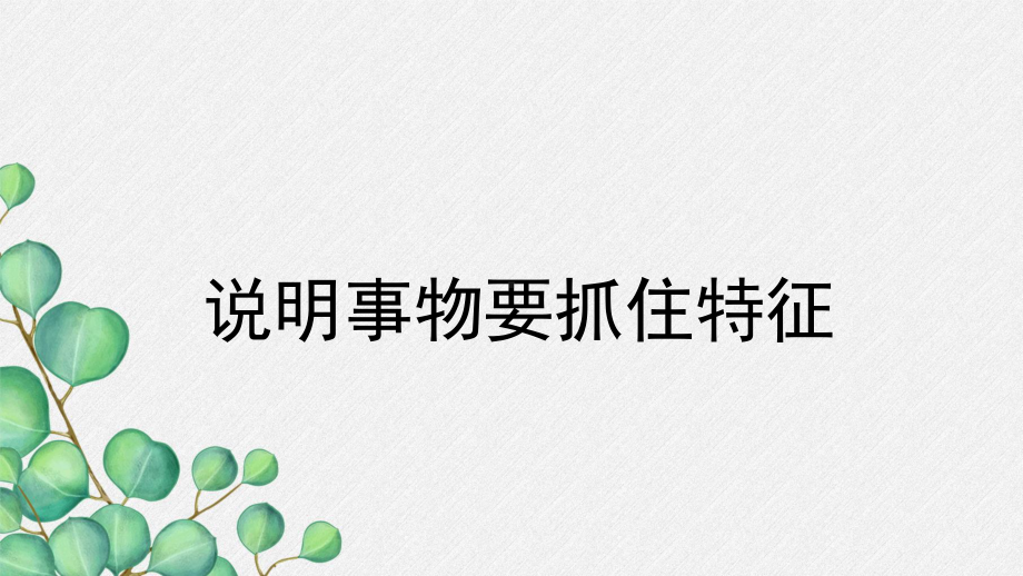 第五单元写作说明事物要抓住特征-课件-(公开课专用)-年部编版八年级语文上册.pptx_第3页