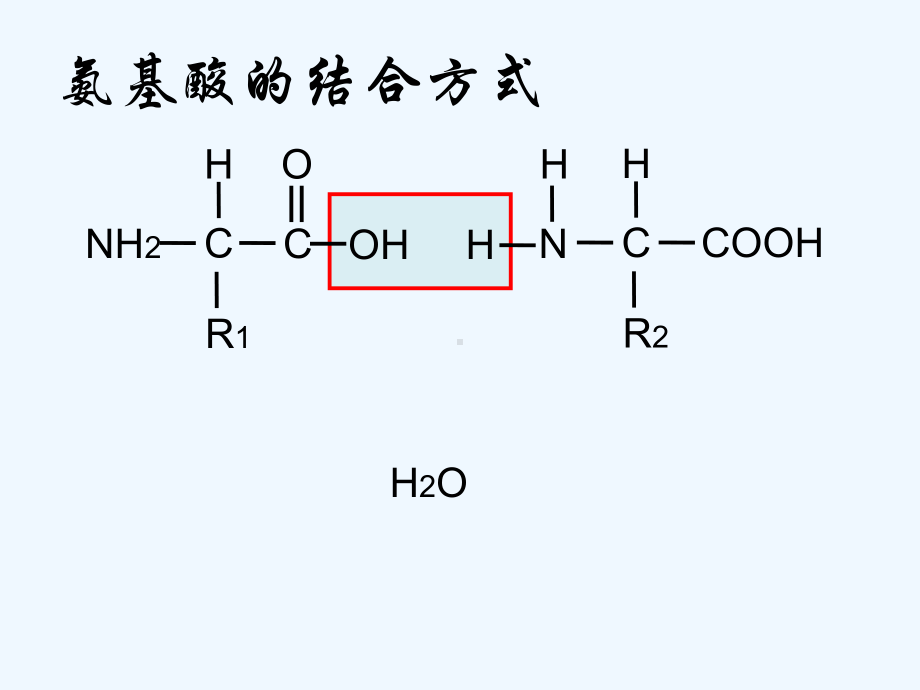 血红蛋白的提取和分离(经典)[可修改版]课件.ppt_第3页