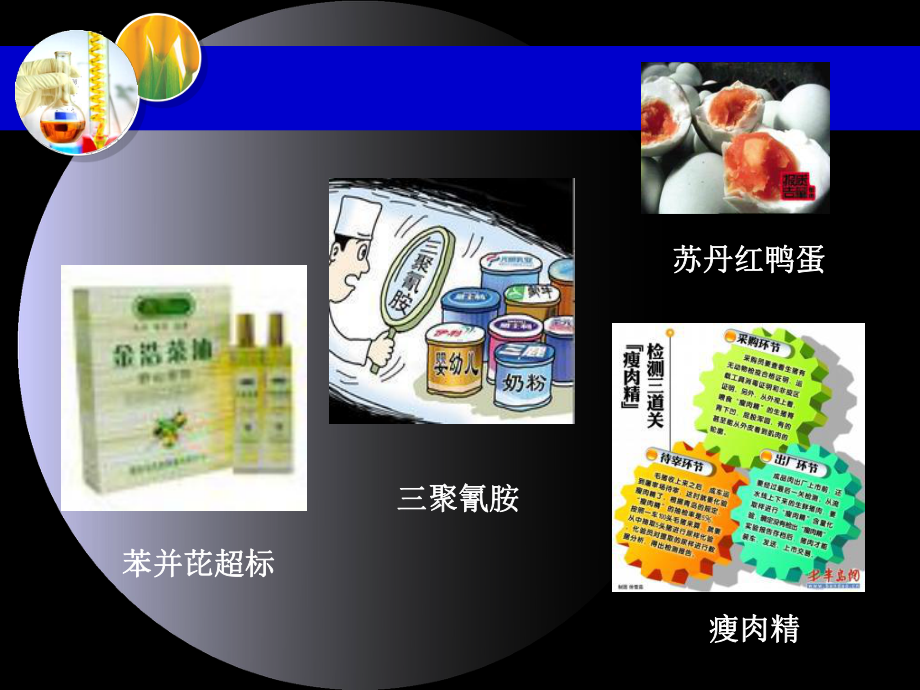 食品化学第一章绪论课件.ppt_第3页