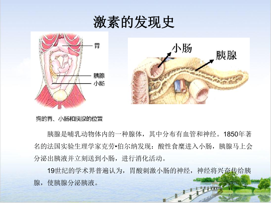 通过激素的调节高中生物必修课件(原文).ppt_第3页