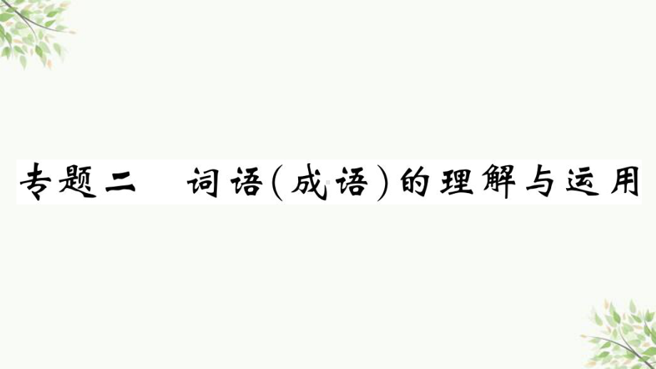 青县某中学八年级语文上册专题二词语成语的理解与运用课件新人教版8.ppt_第1页