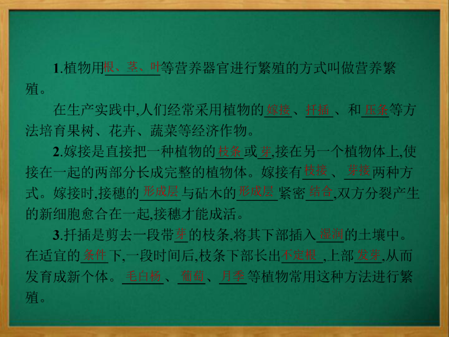 茅箭区某中学八年级生物上册第四单元第一章第七节植物的营养繁殖第1课时营养繁殖常用的方法课件新版版4.pptx_第3页