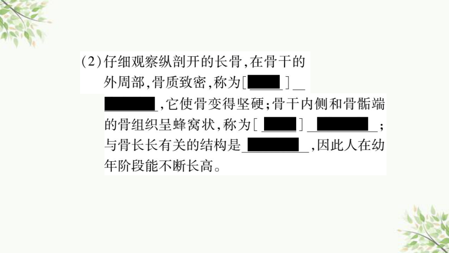 金乡县某中学省八年级生物上册识图专项训练课件新版北师大版.ppt_第3页