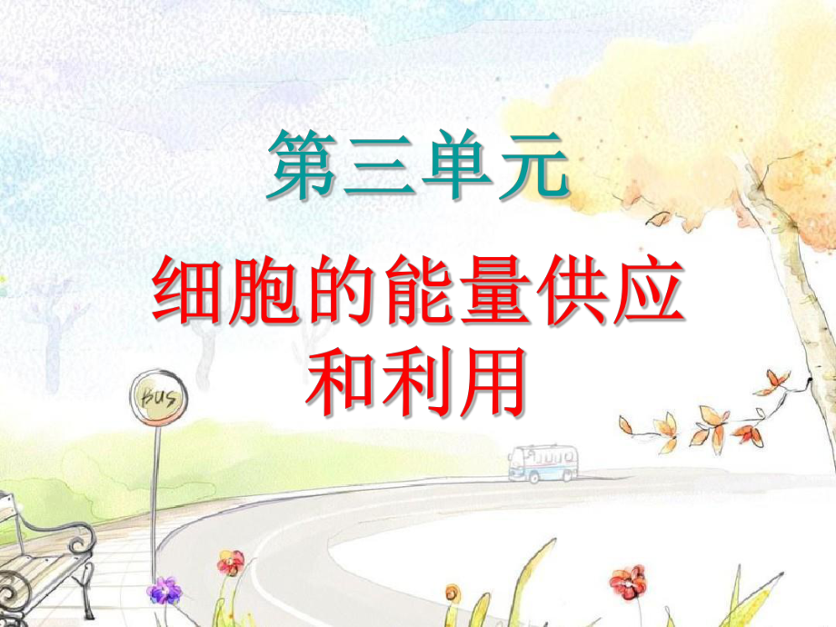 降低化学反应活化能的酶教学课件.ppt_第1页