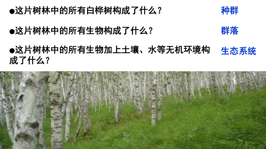 部编高中生物必修生态系统的结构课件.ppt_第1页