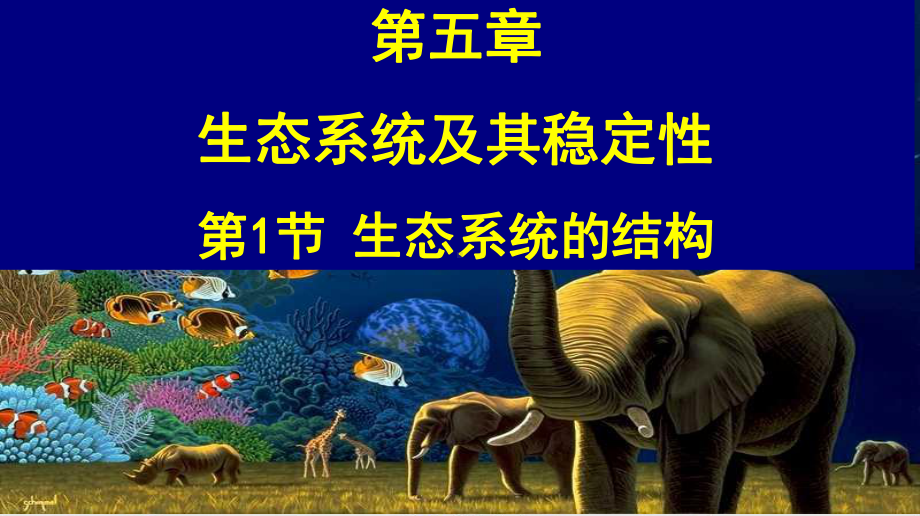 部编高中生物必修生态系统的结构课件.ppt_第2页