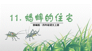 部编版四年级上册《11蟋蟀的住宅》优质课件(三套).pptx