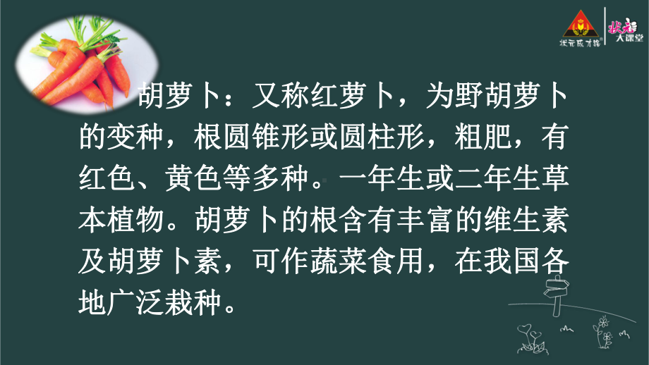 部编(统编版)三年级语文上册课件-13-胡萝卜先生的长胡子（护眼版）.ppt_第3页