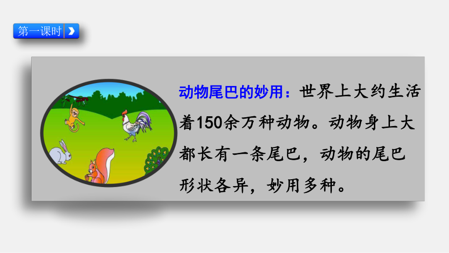 部编版人教版语文一年级上册《6-比尾巴》课件.pptx_第3页