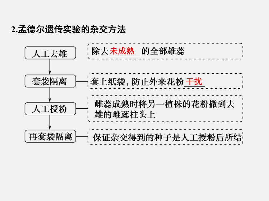 高考生物-一轮复习-专题10-基因的分离定律和自由组合定律课件.ppt_第3页