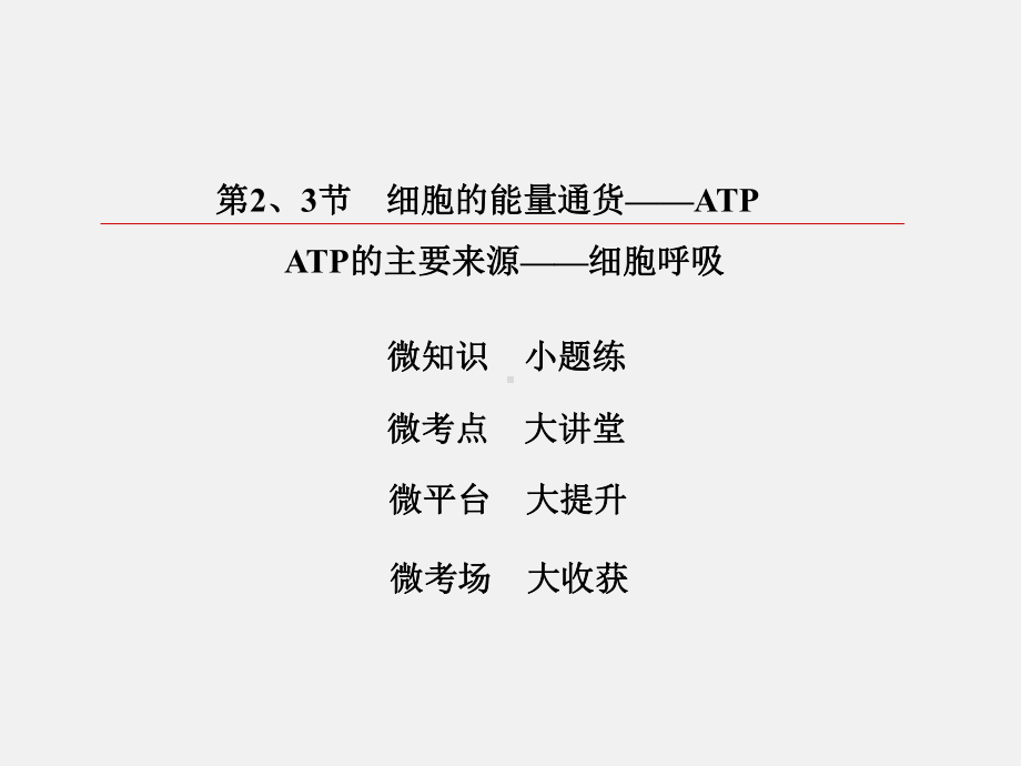 高考生物-一轮复习-细胞的能量通货-ATP-ATP的主要来源-细胞呼吸-新人教必修1课件.ppt_第2页