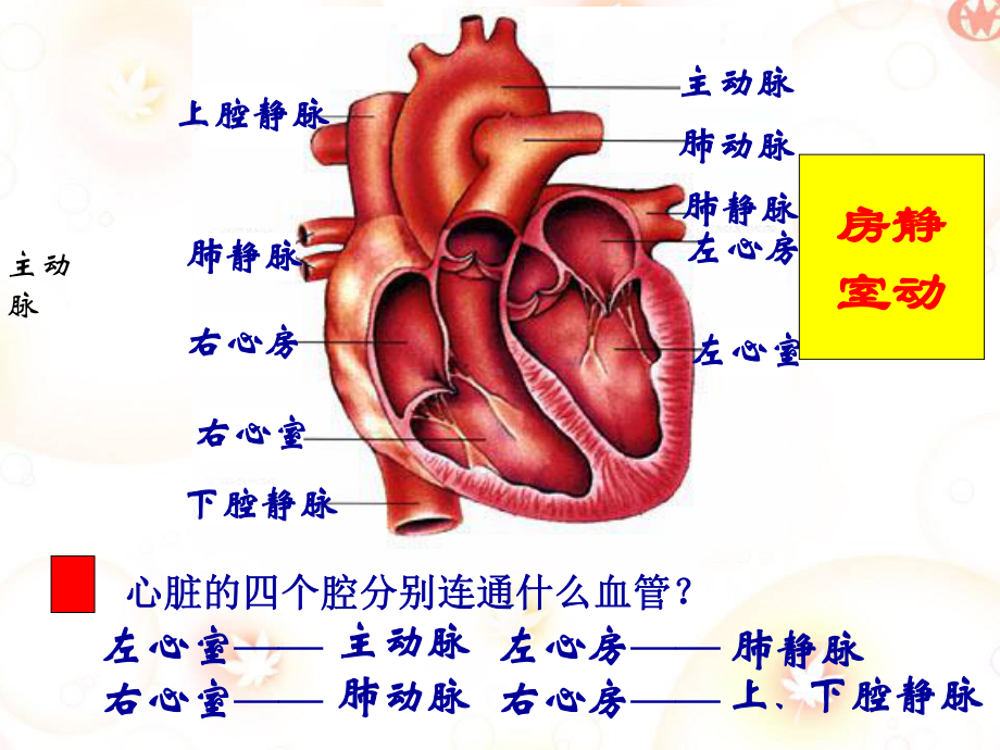 八年级上册生物复习1-苏科版精选课件.ppt_第3页