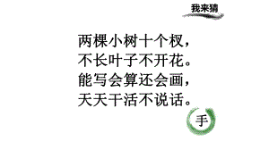 一年级上册语文识字-(二)-画部编版课件.pptx