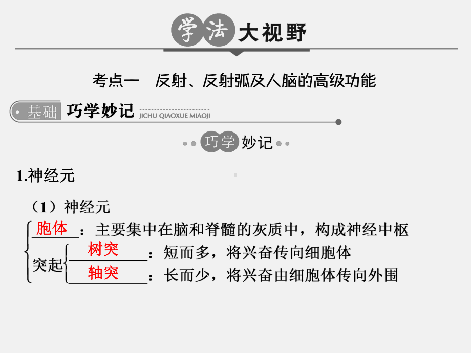 高考生物-一轮复习-专题15-人和高等动物的神经调节课件.ppt_第2页