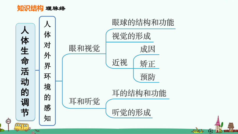 七年级生物下册《人体生命活动的调节》复习课件.ppt_第2页