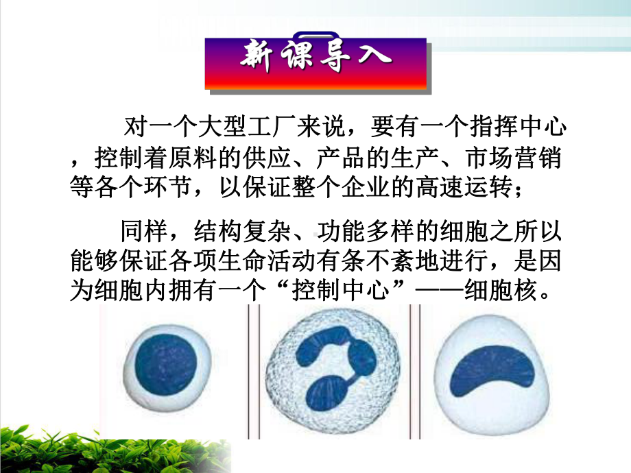 人教版生物必修一《细胞核-系统的控制中心》教学实用课件.ppt_第1页