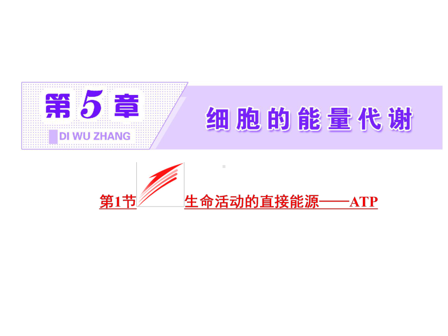 高中生物必修一第5章《细胞的能量代谢》课件(4北师大份)高品质版.ppt_第2页