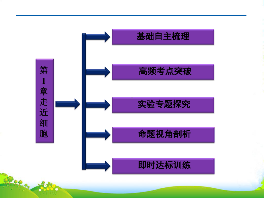 高中生物一轮复习-第1章走近细胞课件-新人教必修1.ppt_第2页