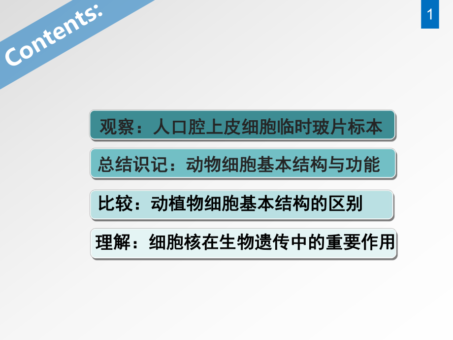 人和动物细胞的结构和功能—苏教版生物七上-课件3.pptx_第2页