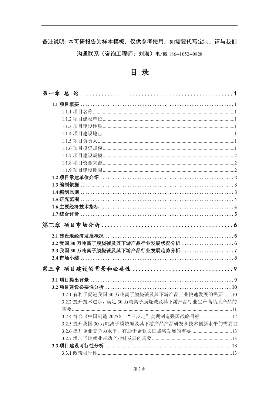 30万吨离子膜烧碱及其下游产品项目可行性研究报告-甲乙丙资信.doc_第2页