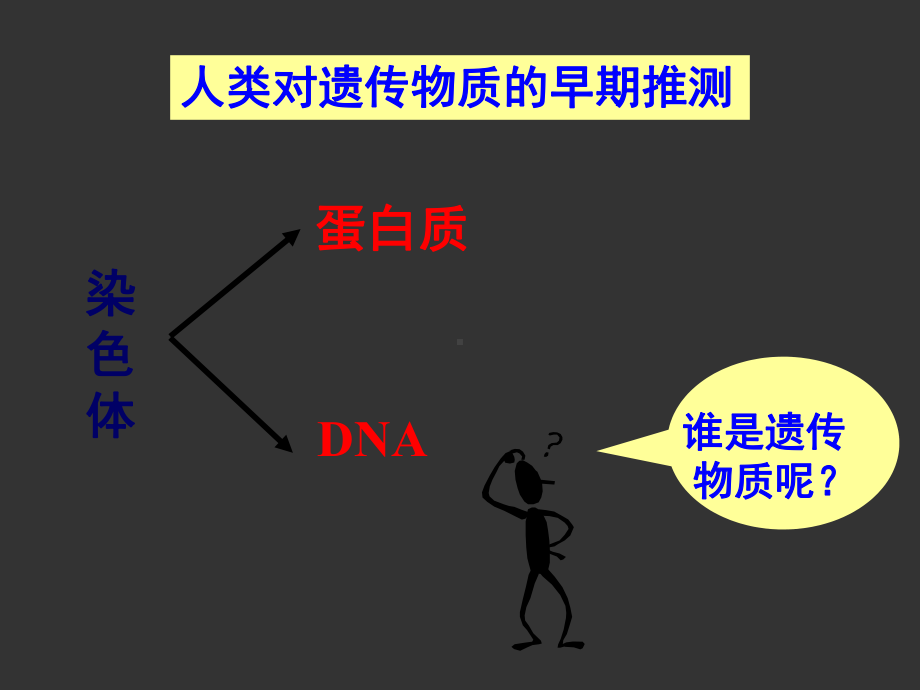 高中生物DNA是主要的遗传物质优秀课件.ppt_第3页