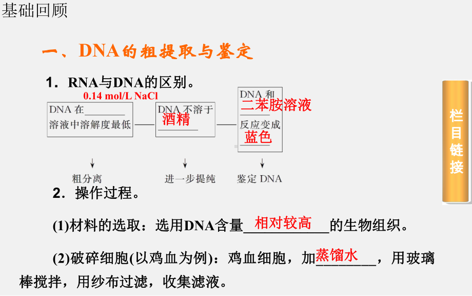 高考生物-一轮复习-DNA和蛋白质技术课件.ppt_第2页