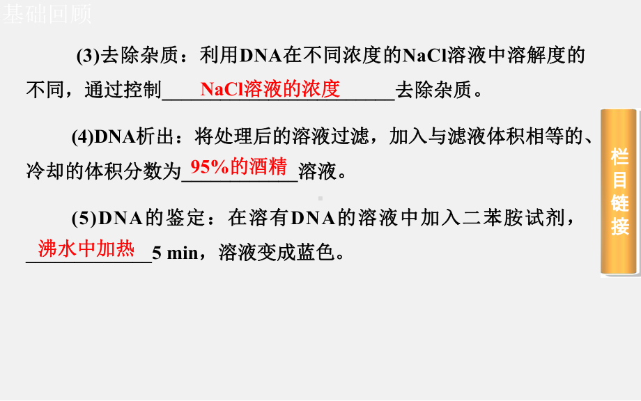 高考生物-一轮复习-DNA和蛋白质技术课件.ppt_第3页