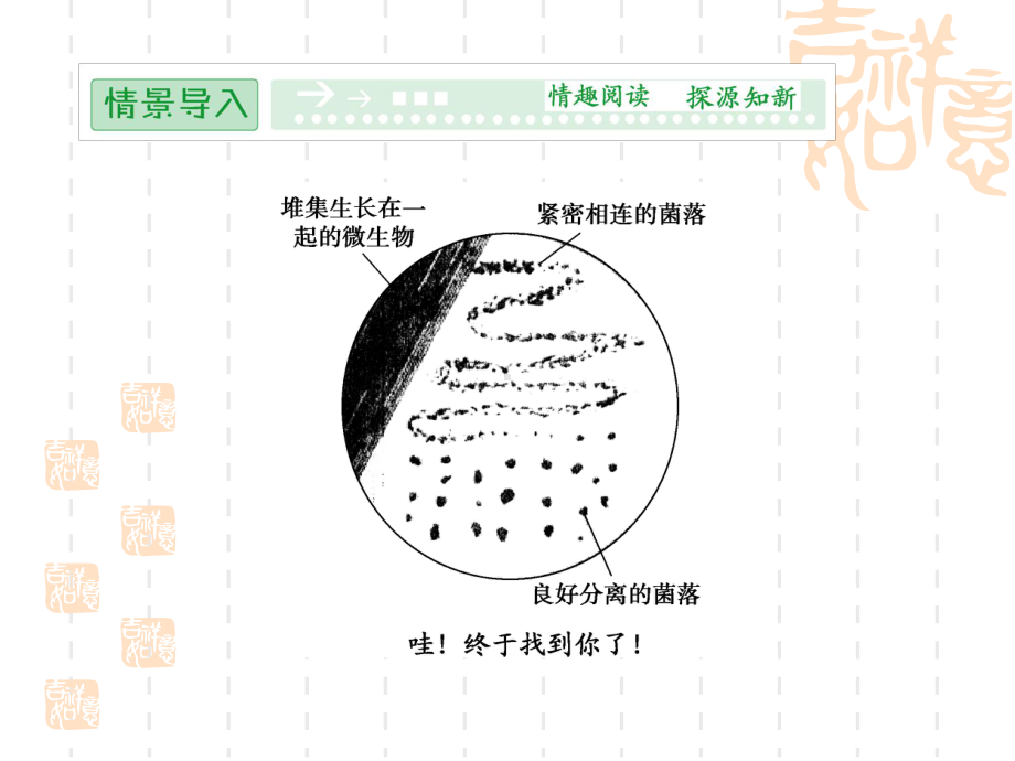 高二生物课件-微生物的分离和纯培养1.ppt_第2页