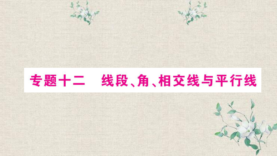 香洲区某中学九年级数学下册专题12线段角相交线与平行线课件新版北师大版8.ppt_第1页