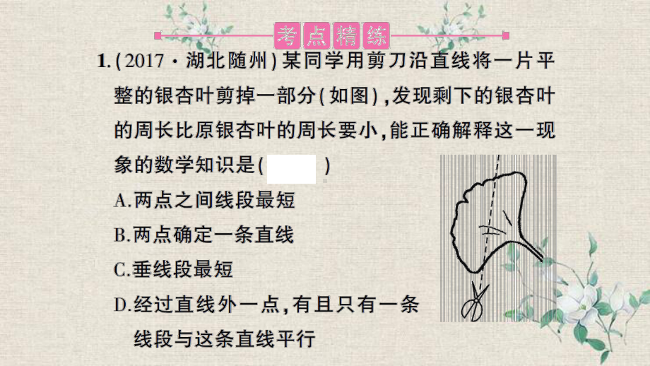 香洲区某中学九年级数学下册专题12线段角相交线与平行线课件新版北师大版8.ppt_第3页