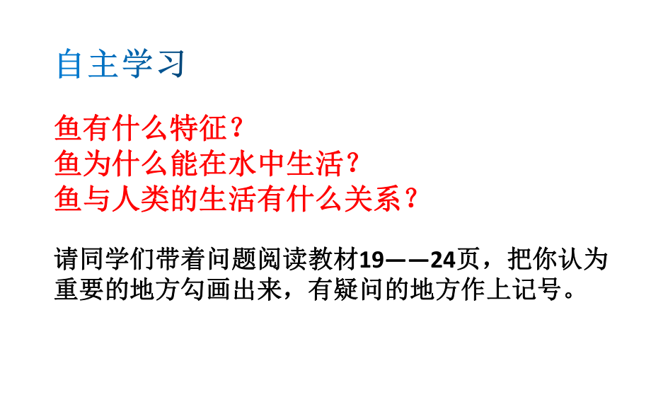 鱼课件2021-2022学年人教版生物八年级上册.pptx_第2页