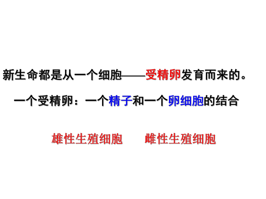 七年级下《新生命的诞生》优秀课件浙教版1.ppt_第3页