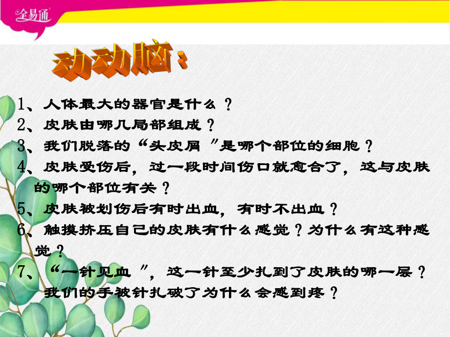 《汗液的形成和排出》课件-(高效课堂)2022年济南版生物七下.pptx_第3页