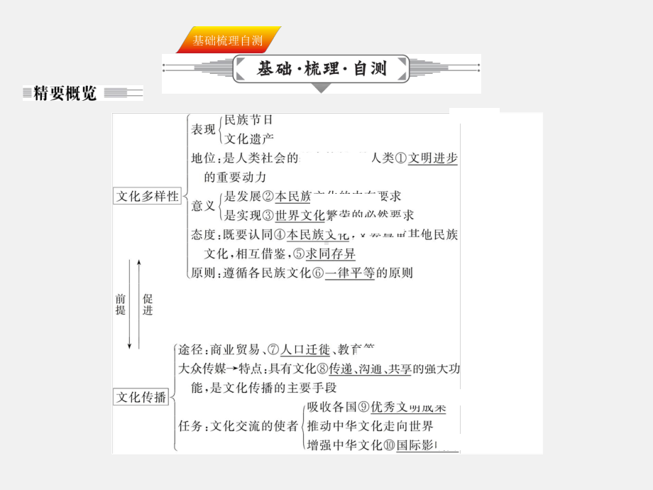 高考政治-一轮复习-文化传承与创新-第三课-文化的多样性与文化传播-新人教版必修3课件.ppt_第3页