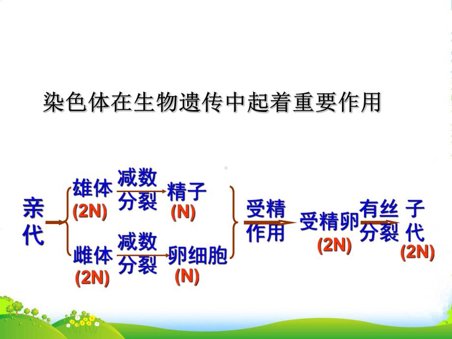 高中生物DNA是主要遗传物质课件人教版必修2.ppt_第3页