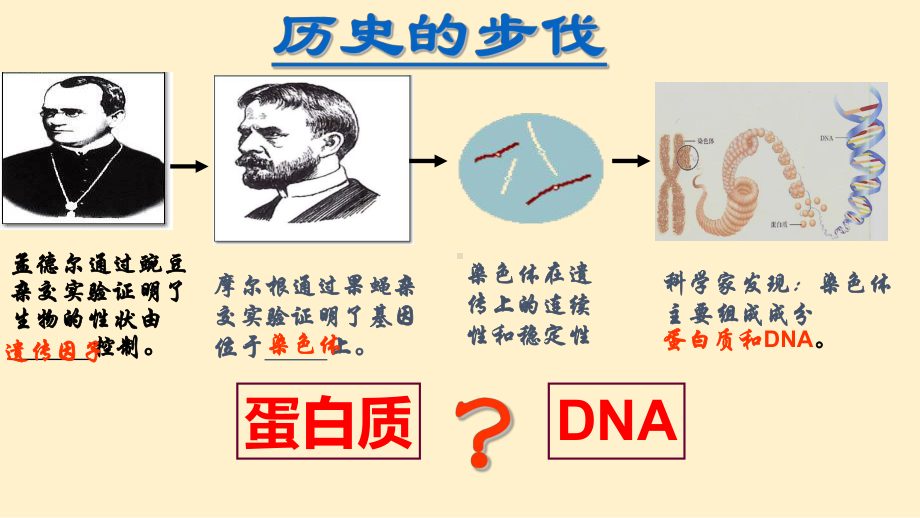 高中生物DNA是主要的遗传物质-优秀课件1.pptx_第2页