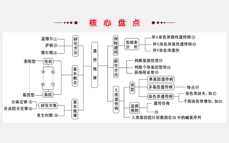 高考生物-二轮复习-遗传的基本规律与人类遗传病1课件.ppt_第2页