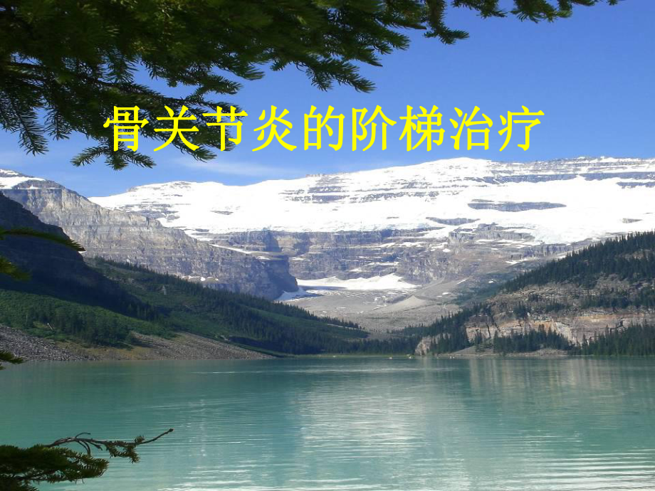 骨关节炎的阶梯治疗1课件.ppt_第1页