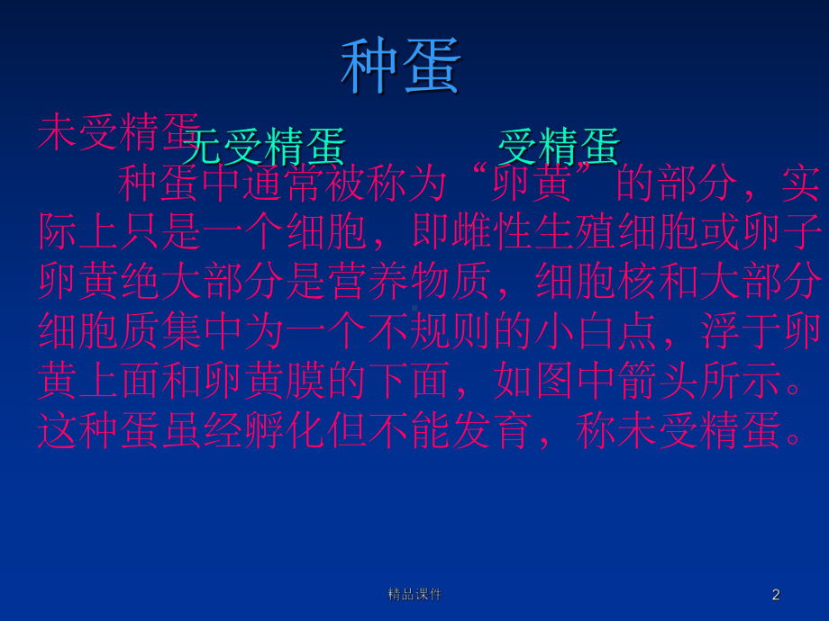 鸡蛋孵化过程的课件.ppt_第2页