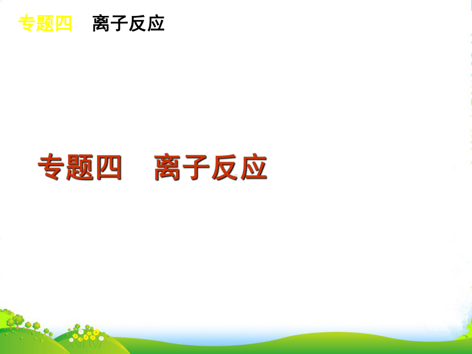 高考化学二轮精编-专题四-离子反应课件.ppt_第2页