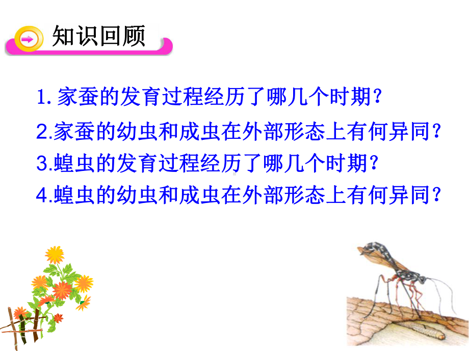 人教版八年级下册生物两栖动物的生殖和发育课件.ppt_第2页