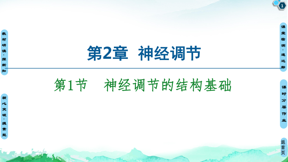 高中生物新教材《神经调节的结构基础》课件1.ppt_第1页