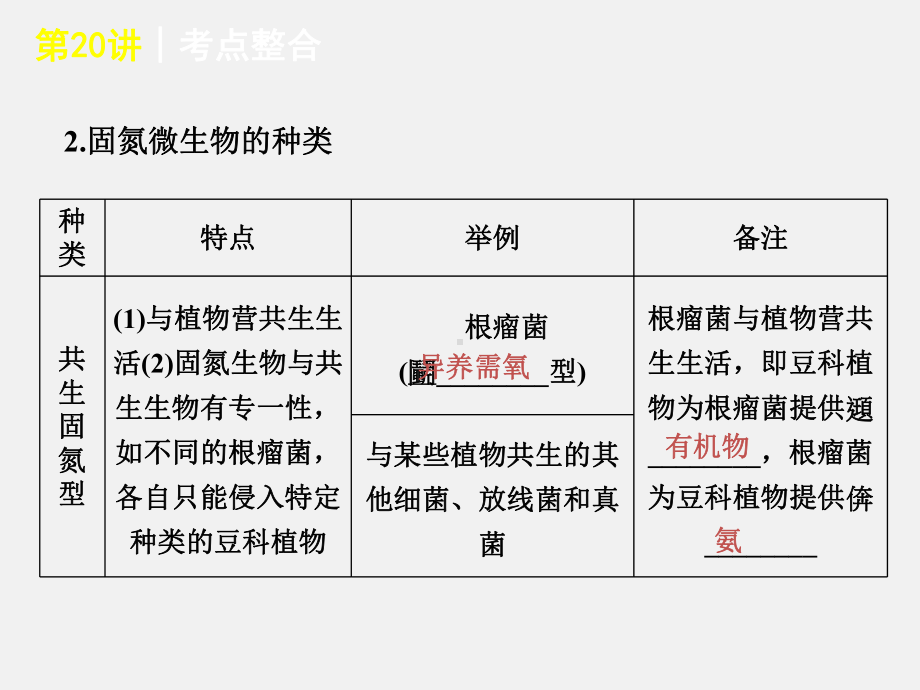 高考生物-专题复习-第20讲-生物固氮提分-大纲人教1课件.ppt_第3页