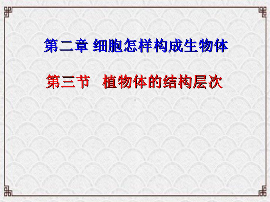七年级生物上册第二单元第二章第三节植物体的结构层次课件新版新人教版5.ppt_第1页