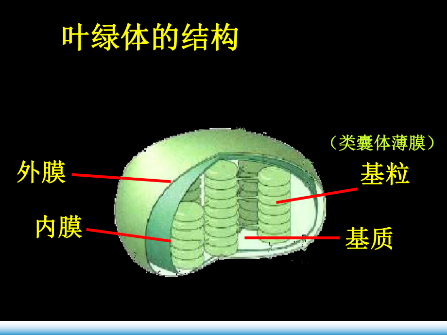 高中生物《能量之源—光与光合作用》第三课时教学课件.ppt_第3页