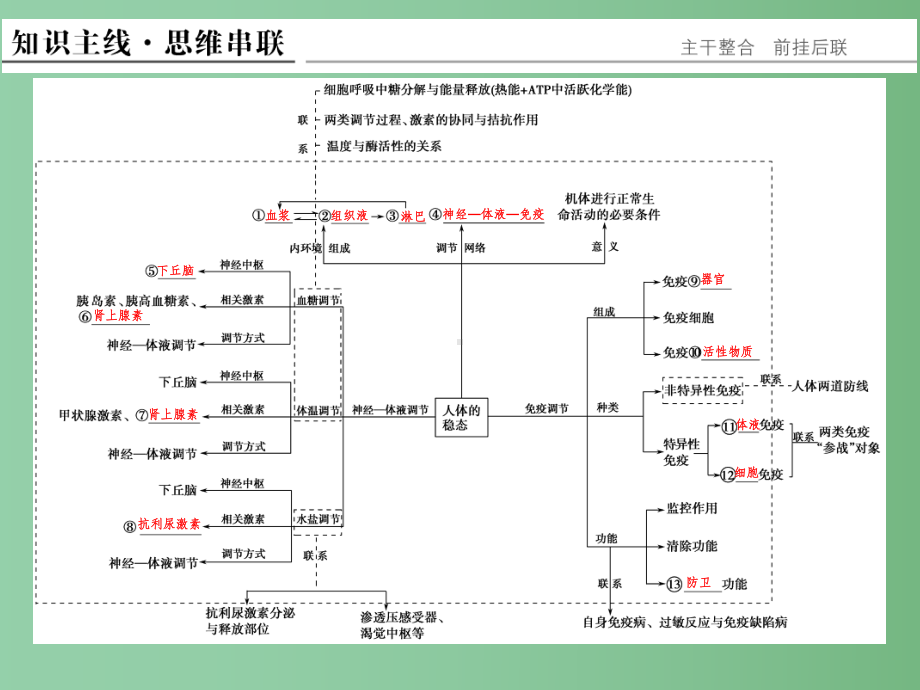 高考生物二轮复习-第四单元-专题二-人体的内环境与稳态课件.ppt_第2页